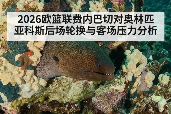 2026欧篮联费内巴切对奥林匹亚科斯后场轮换与客场压力分析