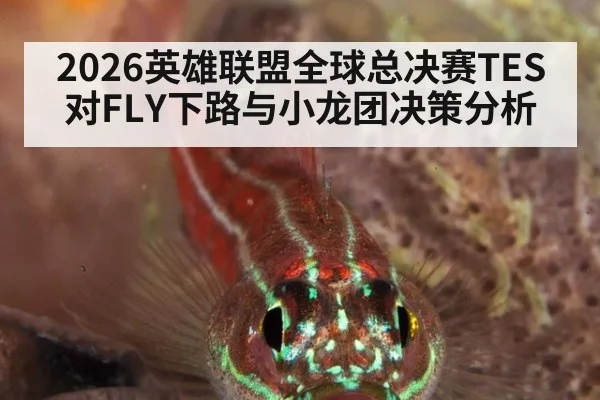2026英雄联盟全球总决赛TES对FLY下路与小龙团决策分析